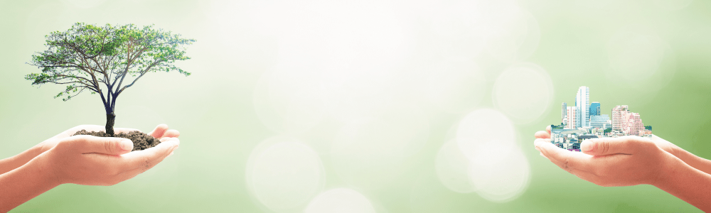 サステナブルデザイン